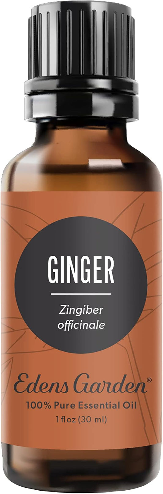 Edens Garden Ginger Essential Oil- 100% Pure Premium Grade, Undiluted, Natural, Therapeutic, Aromatherapy, The Best for Diffuser, Skin, Candle, Kid Safe 30 ml (1 fl oz)-VivaGrace Women