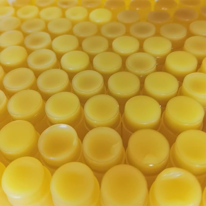 2PCS Handmade Plant lip balm Pink Lips Serum Brighten Dark Lips Bleaching Essence Lip Balm Repair Fine Lines Brighten Moisture Exfoliator Lip Care (Yellow)-VivaGrace Women