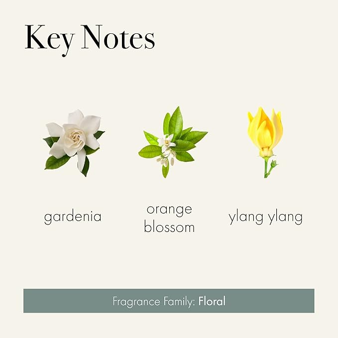 LAFCO New York Signature Reed Diffuser, Fresh Cut Gardenia - 15 oz - Up to 9 Months Fragrance Life - Reusable, Hand Blown Glass Vessel - Natural Wood Reeds - Made in The USA-VivaGrace Women