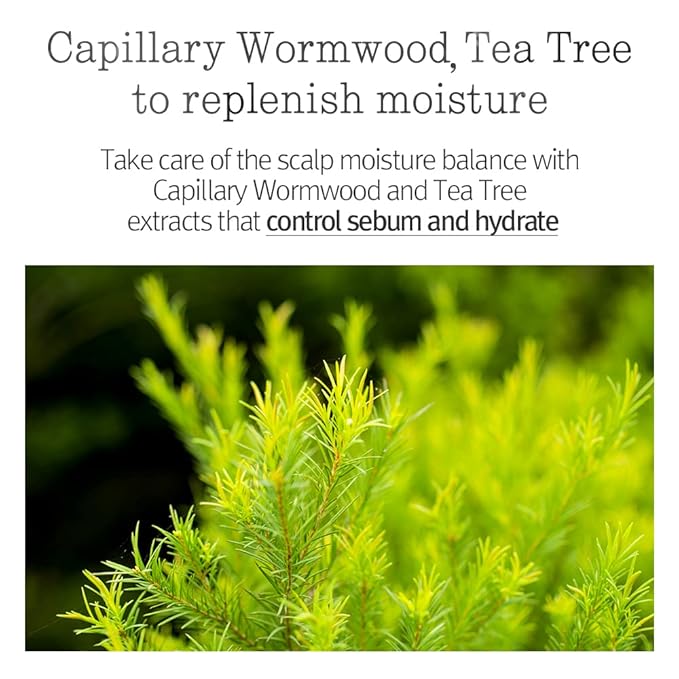 PYUNKANG YUL Hair&Body Travel Kit | Shampoo, Conditioner, Body Wash, Lotion, Spa Kit, 4 items | Low pH, Moisturizing, Soothing, Refreshing, Fragrance Free | Korean Skin Care | 3.38 Fl.Oz. x 4ea-VivaGrace Women