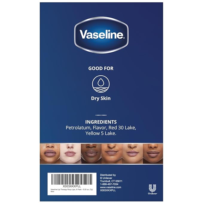 Vaseline Lip Therapy Rosy Lips Mini, Pure Petroleum Jelly, Advanced Moisture, Light Rose Fragrance, Sheer Pink Tint on Lips, Mini Vaseline Petroleum Jelly, Soft Vaseline Lips (Pack of 6-0.25 Oz Ea)-VivaGrace Women