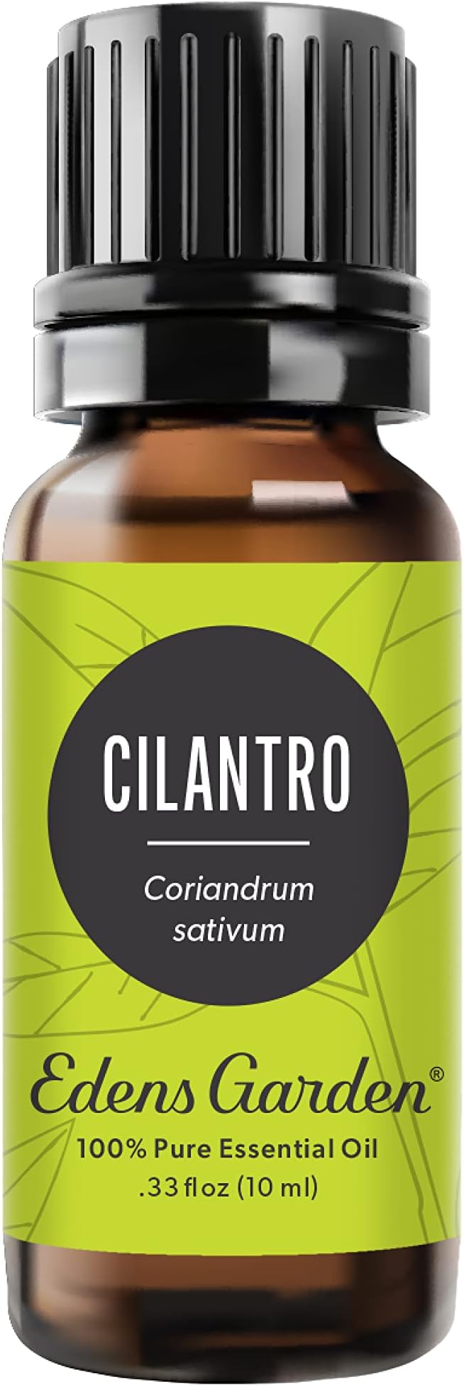 Edens Garden Cilantro Essential Oil- 100% Pure Premium Grade, Undiluted, Natural, Therapeutic, Aromatherapy, The Best for Diffuser, Candle, Laundry, Kid Safe 10 ml (.33 fl oz)-VivaGrace Women