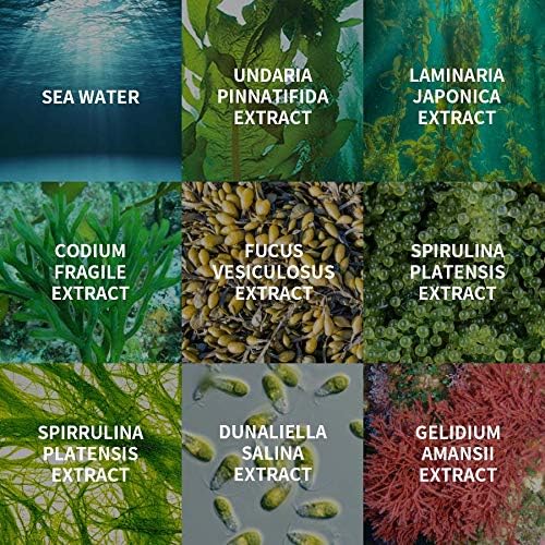 [BUVLEY] 8-Hydro Aqua Bubble Innovative Facial Toner, Deep Hydrating, Moisturizing, Anti Aging - Cruelty Free, Made in Korea Pack of (1)-VivaGrace Women