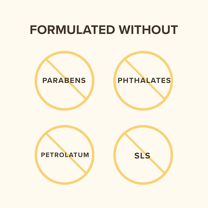 Burt's Bees Lip Balm - Berry Agua Fresca, Dragonfruit Lemon, Coconut & Pear, Tropical Pineapple Pack, With Beeswax, Tint-Free, Natural Origin Lip Treatment, 4 Tubes, 0.15 oz.-VivaGrace Women