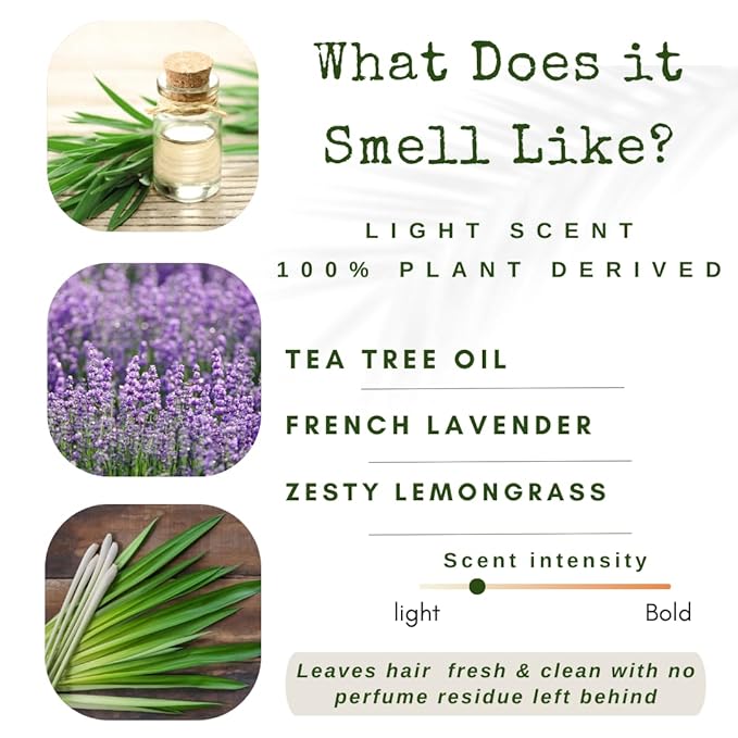 Shampoo Bar and Conditioner with Travel Tins | Lemongrass, Lavender, Tea Tree Oil | Clarifying & Growth | For Oily Hair | USA 2-pk-VivaGrace Women