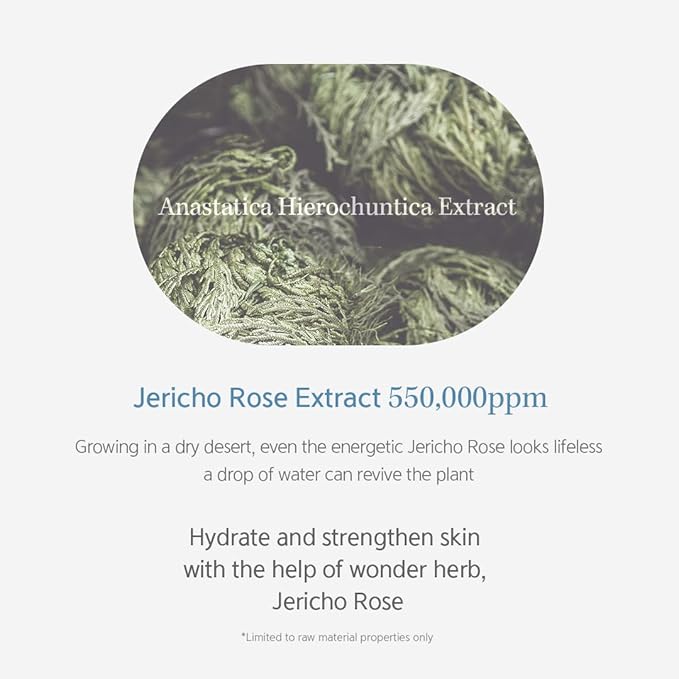 NACIFIC Hyal Booster Hydrating Set Toner 150ml 5.07fl.oz, Ampoule 50ml 1.69fl.oz, Cream 50ml 1.69fl.oz Hyaluronic Acid hydration and calming, ph5.5, Sensitive Skin-VivaGrace Women