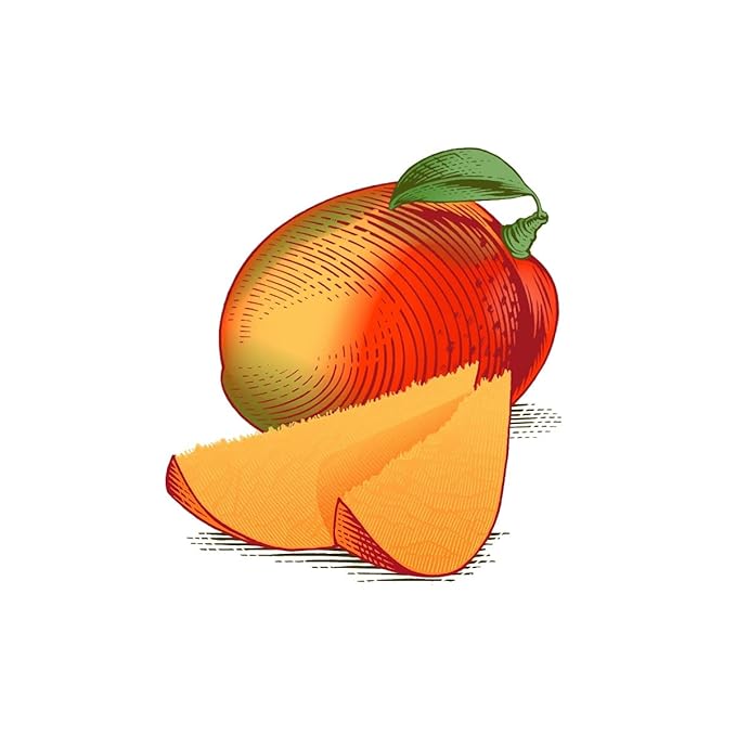 Burt's Bees Lip Balm - Mango, Lip Moisturizer With Responsibly Sourced Beeswax, Tint-Free, Natural Origin Conditioning Lip Treatment, 2 Tubes, 0.15 oz.-VivaGrace Women