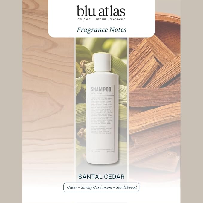 Blu Atlas Men's Natural Shampoo – Organic, Sulfate-Free, Paraben-Free – Deep Cleansing & Hydrating – Santal Cedar Scent – Made in America – 8 oz-VivaGrace Women