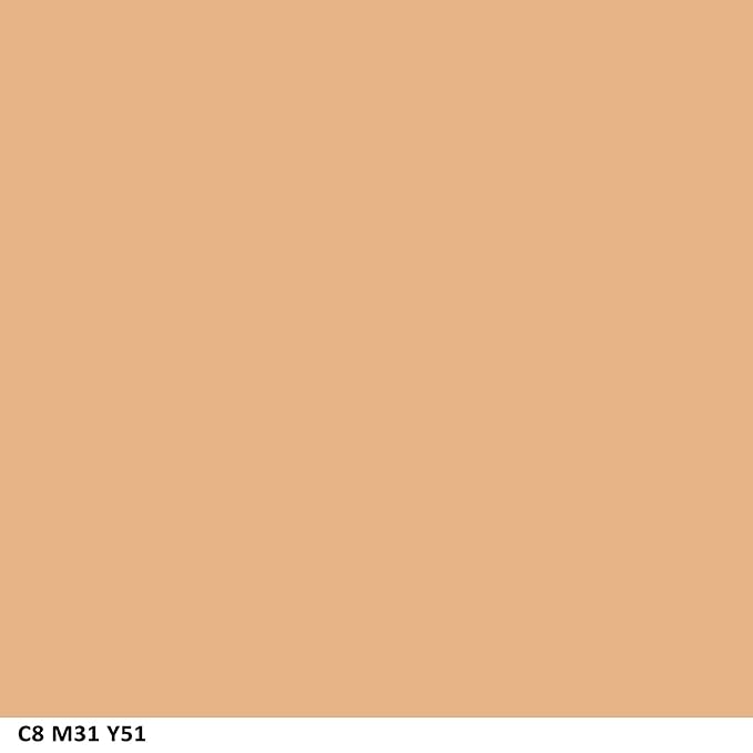 COVERGIRL Ready Set Gorgeous Fresh Complexion Concealer Medium/Deep 305/310, 37 oz (packaging may vary) (Pack of 2)-VivaGrace Women