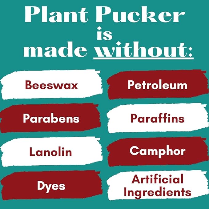 Vegan Lip Balm (3-Pack) (Unflavored)-VivaGrace Women