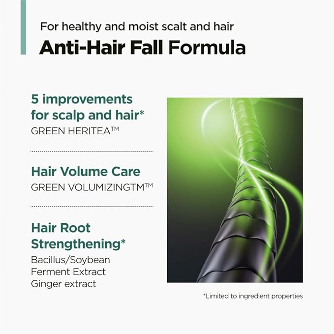 AMOS PROFESSIONAL The Green Tea Shampoo Refresh for Thinning Hair, Korean Shampoo for Oily Scalp l Deep Cleans, Strengthening Hair, All Hair Types, 16.9 fl.oz-VivaGrace Women
