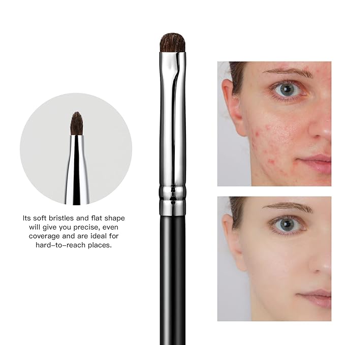 EIGSHOW Concealer Brush, Detail Shader Makeup Brush for Blending Eyeshadow, Concealing Small Blemishes and Imperfections - Precision Application (E867)-VivaGrace Women