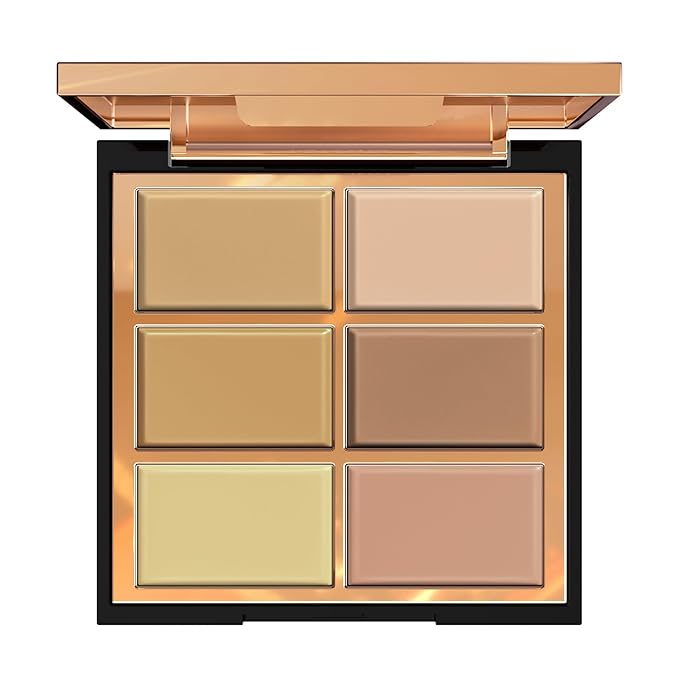 FV 6 Colors Cream Concealer Palette, Full Coverage & Long Lasting Colors Corrector Palette for Dark Circles, Redness, Acne with Natural Finish Cream Foundation Palette, 01 Light Shade-VivaGrace Women