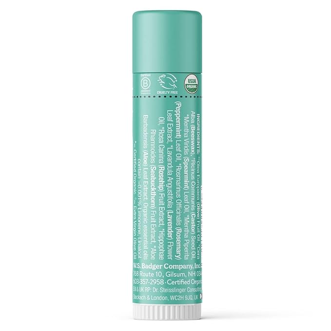 Badger - Classic Lip Balm, Highland Mint, Made with Organic Olive Oil, Beeswax & Rosemary, Certified Organic, Moisturizing Lip Balm, 0.15 oz (4 Pack)-VivaGrace Women