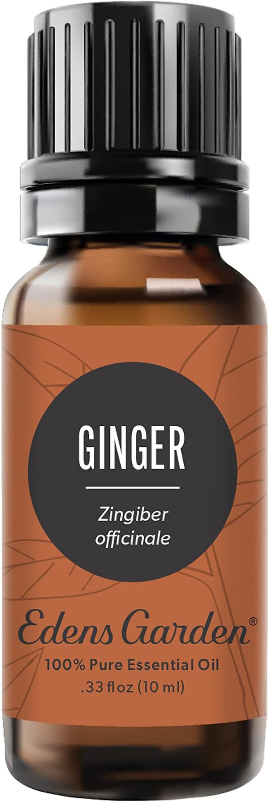 Edens Garden Ginger Essential Oil- 100% Pure Premium Grade, Undiluted, Natural, Therapeutic, Aromatherapy, The Best for Diffuser, Skin, Candle, Kid Safe 10 ml (.33 fl oz)-VivaGrace Women
