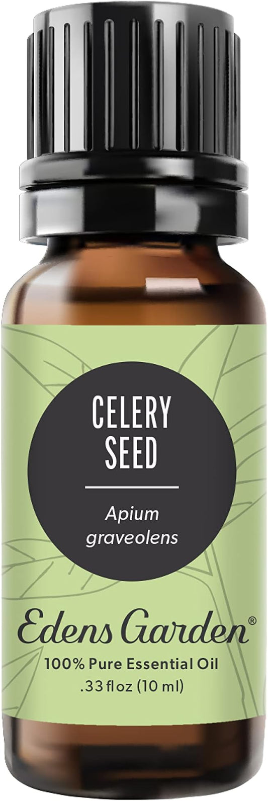 Edens Garden Celery Seed Essential Oil- 100% Pure Premium Grade, Undiluted, Natural, Therapeutic, Aromatherapy, The Best for Diffuser, Skin, Candle, Laundry 10 ml (.33 fl oz)-VivaGrace Women