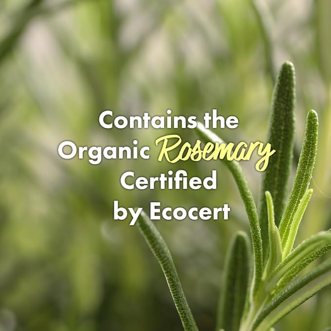 RATED GREEN Real Mary Cold Brew Rosemary Purifying Scalp Scaler with Sea Salt | Korean Deep Cleanse for Dry, Itchy, Flaky Scalp | Hypoallergenic Hair Care for Oily Scalp & Dandruff, 6.76 fl oz-VivaGrace Women