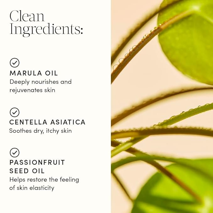 Evereden Golden Belly Serum, 1.7 fl oz. | Clean & Vegan Women's Belly Oil for Pregnancy and Postpartum | Clean Maternity Skincare | Non-Toxic Stretch Mark Oil-VivaGrace Women