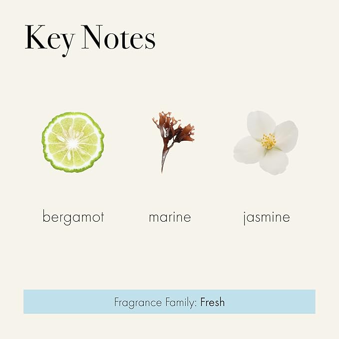 LAFCO New York Signature Reed Diffuser, Marine - 15 oz - Up to 9 Months Fragrance Life - Reusable, Hand Blown Glass Vessel - Natural Wood Reeds - Made in The USA-VivaGrace Women