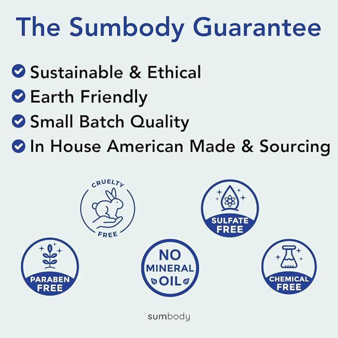 Lip Balm Beeswax Gift Set -Assorted Flavors, Shea & Coconut Butters Nourishing Soothing Lip Moisturizer for Dry Cracked Chapped Lips, Made in USA 100% Natural Ingredients, for women Men kids-VivaGrace Women