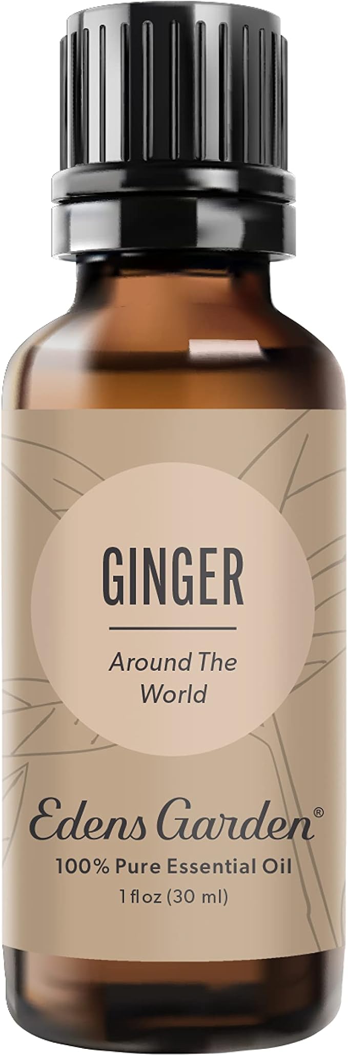 Edens Garden Ginger Around The World Essential Oil- 100% Pure Premium Grade, Undiluted, Natural, Therapeutic, Aromatherapy, The Best for Diffuser, Skin, Candle, Laundry 30 ml (1 fl oz)-VivaGrace Women