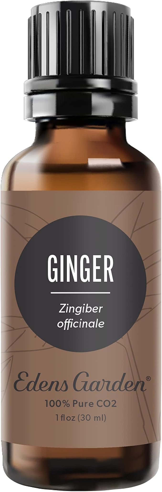Edens Garden Ginger CO2 Essential Oil- 100% Pure Premium Grade, Undiluted, Natural, Therapeutic, Aromatherapy, The Best for Diffuser, Candle, Laundry, Humidifiers 30 ml (1 fl oz)-VivaGrace Women