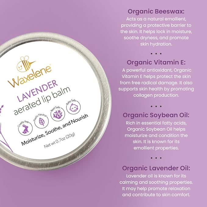 Lavender Aerated Lip Balm tin - Single-VivaGrace Women