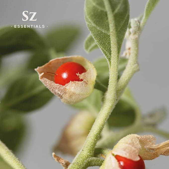 Ashwagandha Essential Oil, 100% Pure and Natural - Undiluted, Steam Distilled from Withania Somnifera - Woody & Earthy Scent with Nutty Overtones - Therapeutic Grade & Vegan - 0.17oz-VivaGrace Women