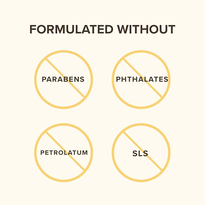 Burt's Bees Chai Tea Lip Balm Blister, 0.15 Ounce-VivaGrace Women