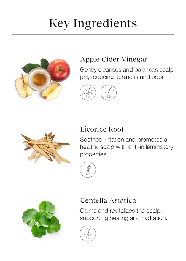 Braid Rev Scalp Cleansing Toner for Braiding Hair, Apple Cider Vinegar Scalp Treatment Exfoliator, No-Rinse, Scalp Treatment for Dry & Itchy, Moisturizing Braid, Detoxify, 6.76 Fl Oz-VivaGrace Women