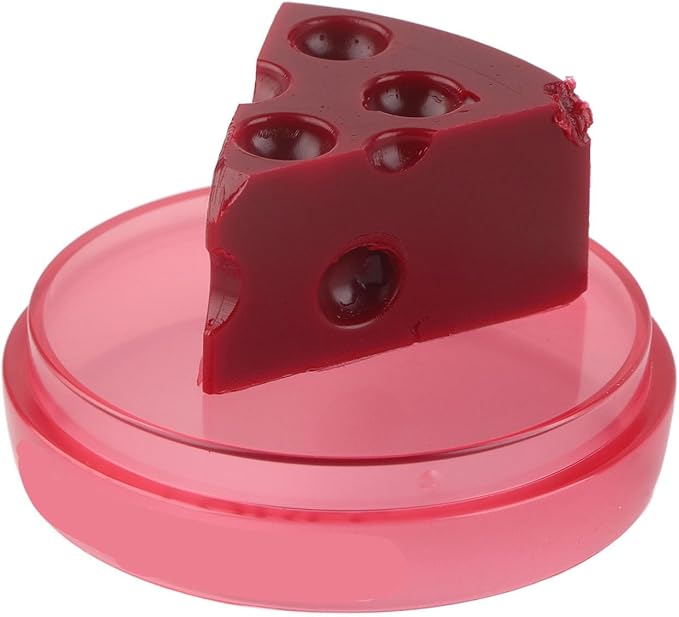 Cheese Shaped Lip Balm, Moisturizing Nourishing Repair Lip Balm, Hydrating Lip Balm for Chapped Cracked Lips 0.3oz(01)-VivaGrace Women