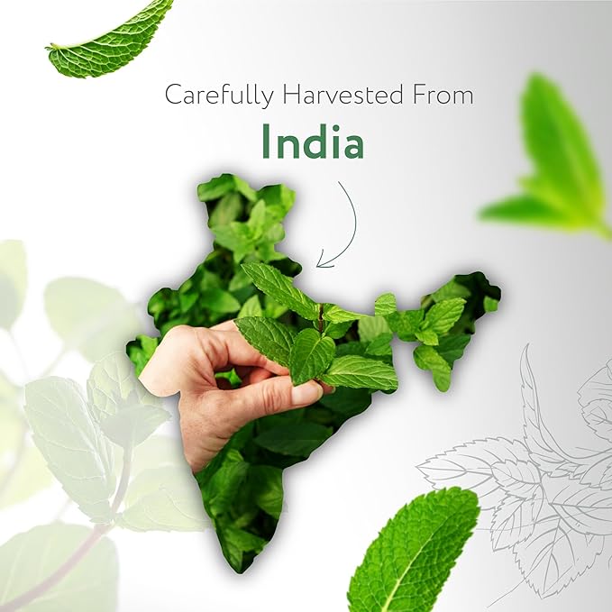 HBNO California Bottled Organic Peppermint Essential Oil (Mentha Piperita) 4 fl oz (120ml) - USDA Certified Organic Peppermint Oil for Hair - Perfect for Aromatherapy-VivaGrace Women