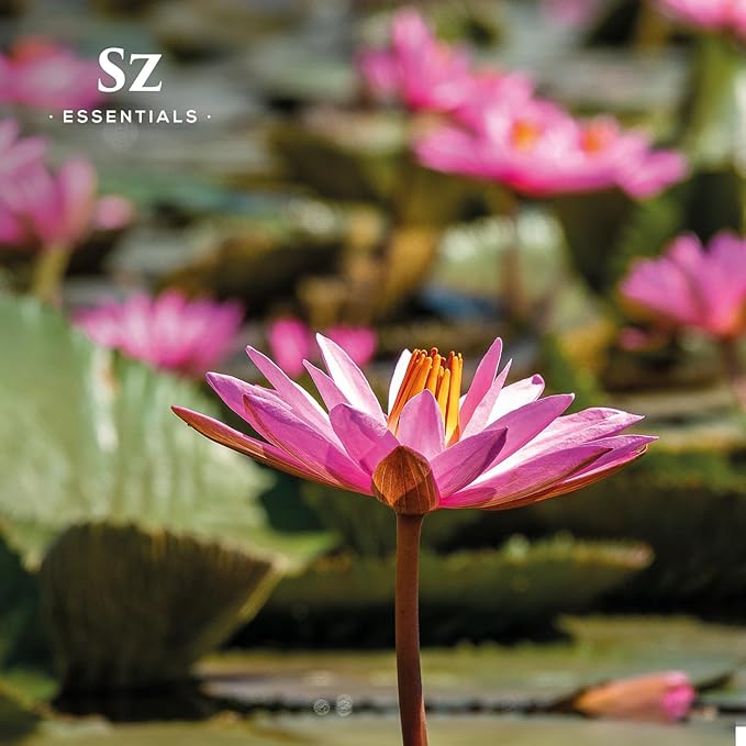 Pink Lotus 100% Pure, Essential Natural Oil - Extracted from Nymphaea Nucifera - Divine & Sweet Scent, with Exotic Floral Overtones - Therapeutic Grade & Vegan - 0.17oz (5ml)-VivaGrace Women