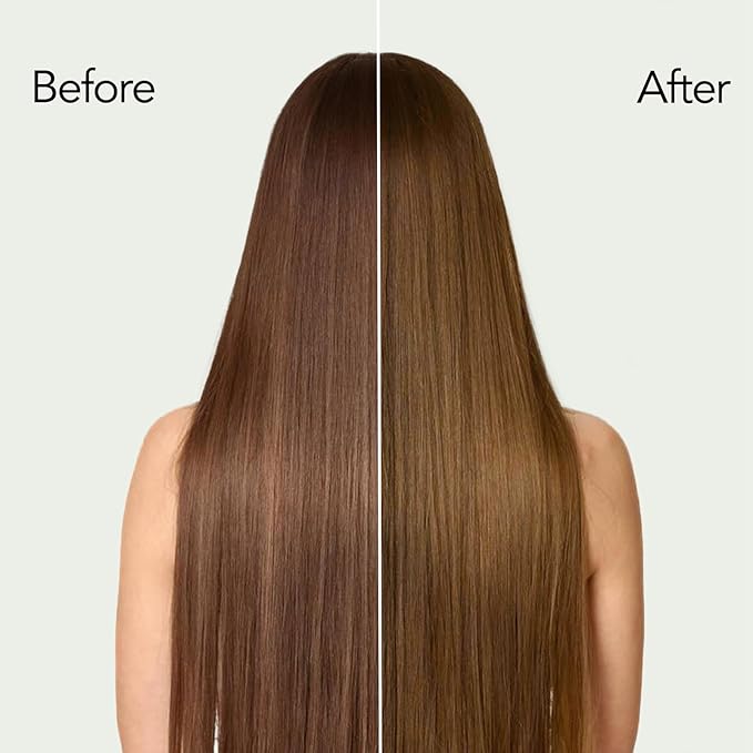 Chestnut Brown Hair Dye Shampoo with Argan Oil for Men & Women, 3 in 1 Semi-Permanent Formula, 16.9 Fl oz - Easy to Use, Covers Gray Hair-VivaGrace Women