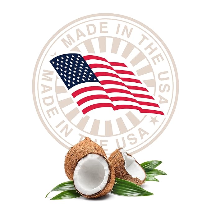 Organic Lip Balm With Coconut Oil | Handmade In the USA | Vanilla Dream 4-Pack | Natural Lip Balm | Coconut Oil Lip Balm for Dry & Cracked Lips | Beeswax Lip Balm | 4 Lip Balm Pack-VivaGrace Women