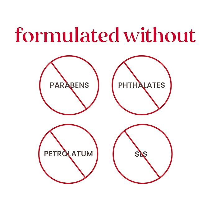 Burt's Bees Lip Balm - Beeswax, Cucumber Mint, Coconut & Pear, and Vanilla Bean Pack, With Responsibly Sourced Beeswax, Tint-Free, Natural Origin Lip Treatment, 4 Tubes, 0.15 oz.-VivaGrace Women