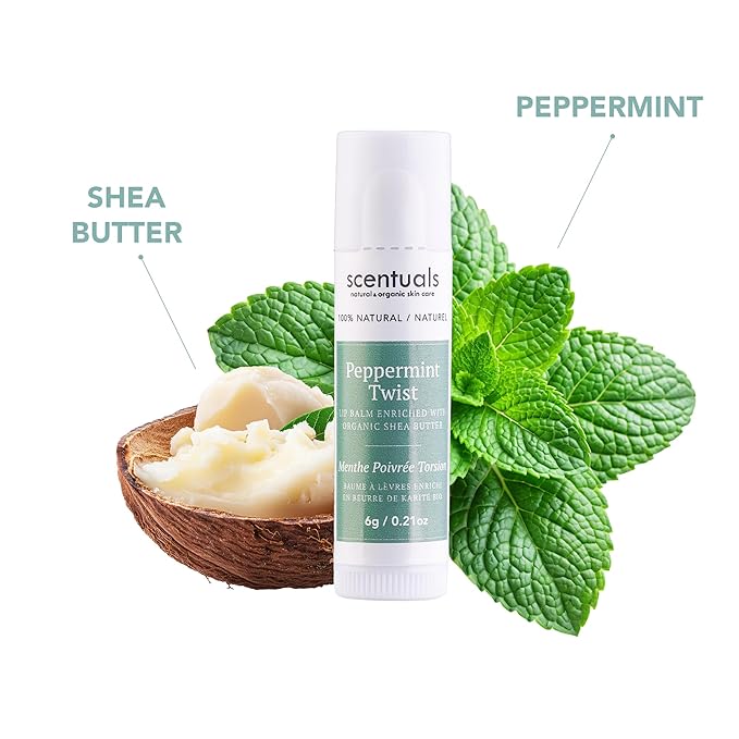 Lip Balm Peppermint Set of 3, Made with Shea Butter, Cocoa Butter, Avocado & Jojoba oil, Beeswax, Vitamin E and Essential oil, Moisturizing Lip Care, Cruelty Free Hydration, Natural (3 Pack)-VivaGrace Women