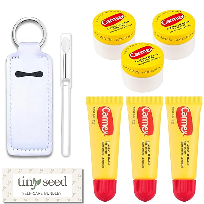 Set of 6 Medicated Lip Balms by Carmex: 3 Jars and 3 Tubes. Carmex Lip Balm Moisturizer, Trusted Relief for Dry, Chapped Lips. Bundled with Silicone Lip Brush and Lip Balm Holder Keychain (White)-VivaGrace Women