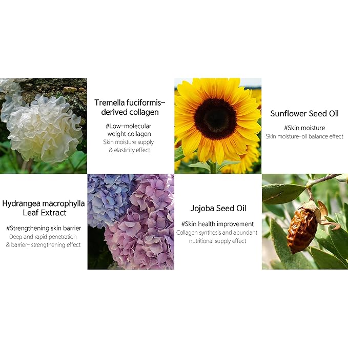 LALACHUU Glow Mist Serum – Hydrating & Soothing Face Mist Artemisia, Centella Asiatica, Evening Primrose, Korean Skin Care, Made in Korea, for Sensitive Skin (Intensive, 3.38 oz)-VivaGrace Women