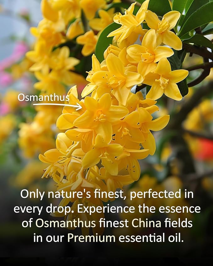 Pure Osmanthus Essential Oil, 100% Pure Natural Osmanthus Essential Oil, Premium Grade Essential Oils for Diffusers for Home, Skin, Care Massage, Soap Making, Aromatherapy, 4 Fl Oz | 120ml-VivaGrace Women