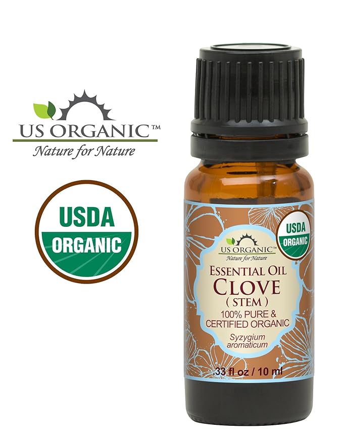 US Organic 100% Pure Clove Stem Essential Oil - USDA Certified Organic, Steam Distilled (10 ml)-VivaGrace Women