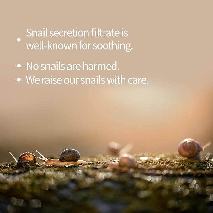 BENTON Snail Bee High Content Mask Pack (20g / 10 Sheets) - Snail Mucin Face Mask With Bee Venom | Korean Skin Care Face Mask Sheets For Moisturizing, Soothing and Nourishing-VivaGrace Women