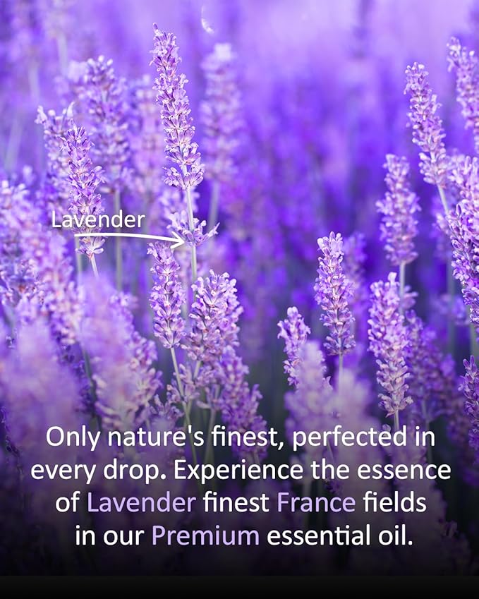 Premium Lavender Essential Oil for Relaxation DIY Diffusers Candles Nails Soaps Shampoo Scented Oil 4 Fl Oz-VivaGrace Women