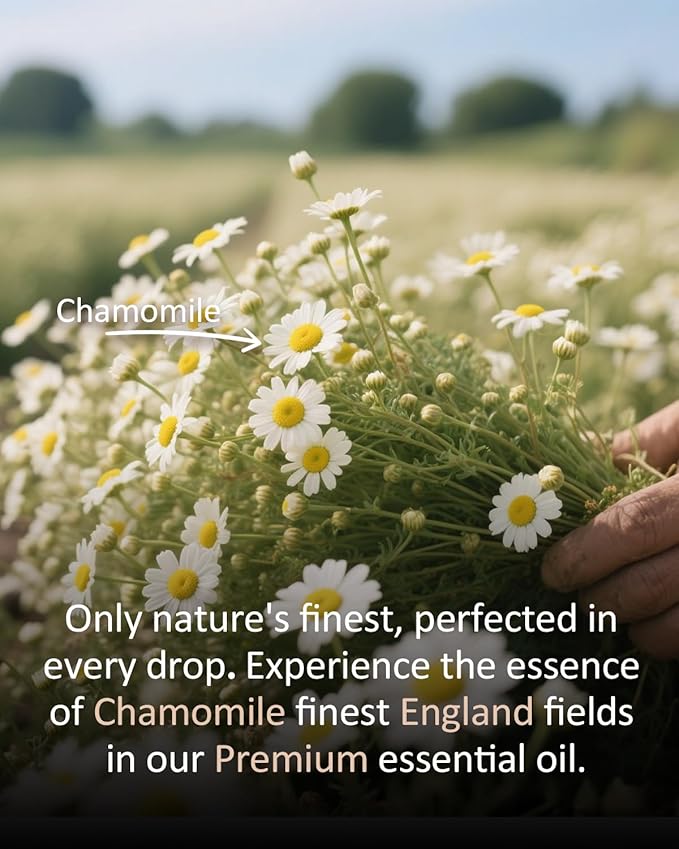 Pure Chamomile Essential Oil, 100% Pure Natural Chamomile Essential Oil, Premium Grade Essential Oils for Diffusers for Home, Skin, Care Massage, Soap Making, Aromatherapy, 4 Fl Oz | 120ml-VivaGrace Women