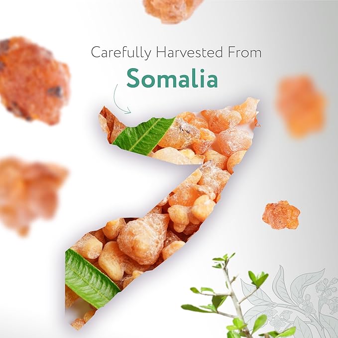 HBNO Myrrh Essential Oil - 1/3 oz (10 ml) Travel Size - Natural Myrrh Oil - Perfect for Cleaning, Aromatherapy, DIY, Soap and Diffuser - Myrrh Essential Oils-VivaGrace Women