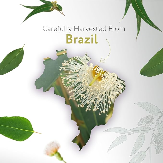 HBNO Lemon Eucalyptus Essential Oil - 4 oz (120ml) - Natural - Perfect for Cleaning, Aromatherapy, DIY, Soap & Diffuser-VivaGrace Women