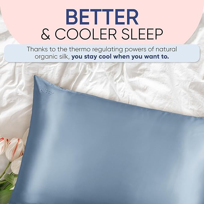 Blissy Silk Pillowcase - 100% Pure Mulberry Silk - 22 Momme 6A High-Grade Fibers - Silk Pillow Cover for Hair & Skin - Regular, Queen & King (Ash Blue, Queen)-VivaGrace Women