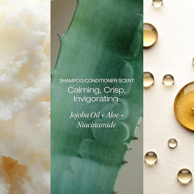 Raw Sugar Scalp Restore Hair Care Bundle, Shampoo and Conditioner Set with Jojoba, Aloe and Niacinamide, Formulated without Sulfates + Parabens-VivaGrace Women