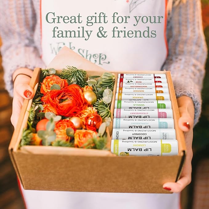 Dmsky Lip Balm Bulk, Fruit Lip Balm Variety Pack, Hydrating Lip Balm for Men Women Kids, 0.15 Oz, 360 count (Pack of 1)-VivaGrace Women