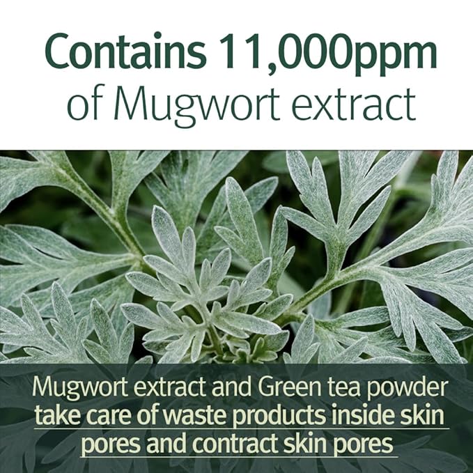 Pyunkang Yul Calming Pore Clear Wash Off Mask 100 ml-VivaGrace Women